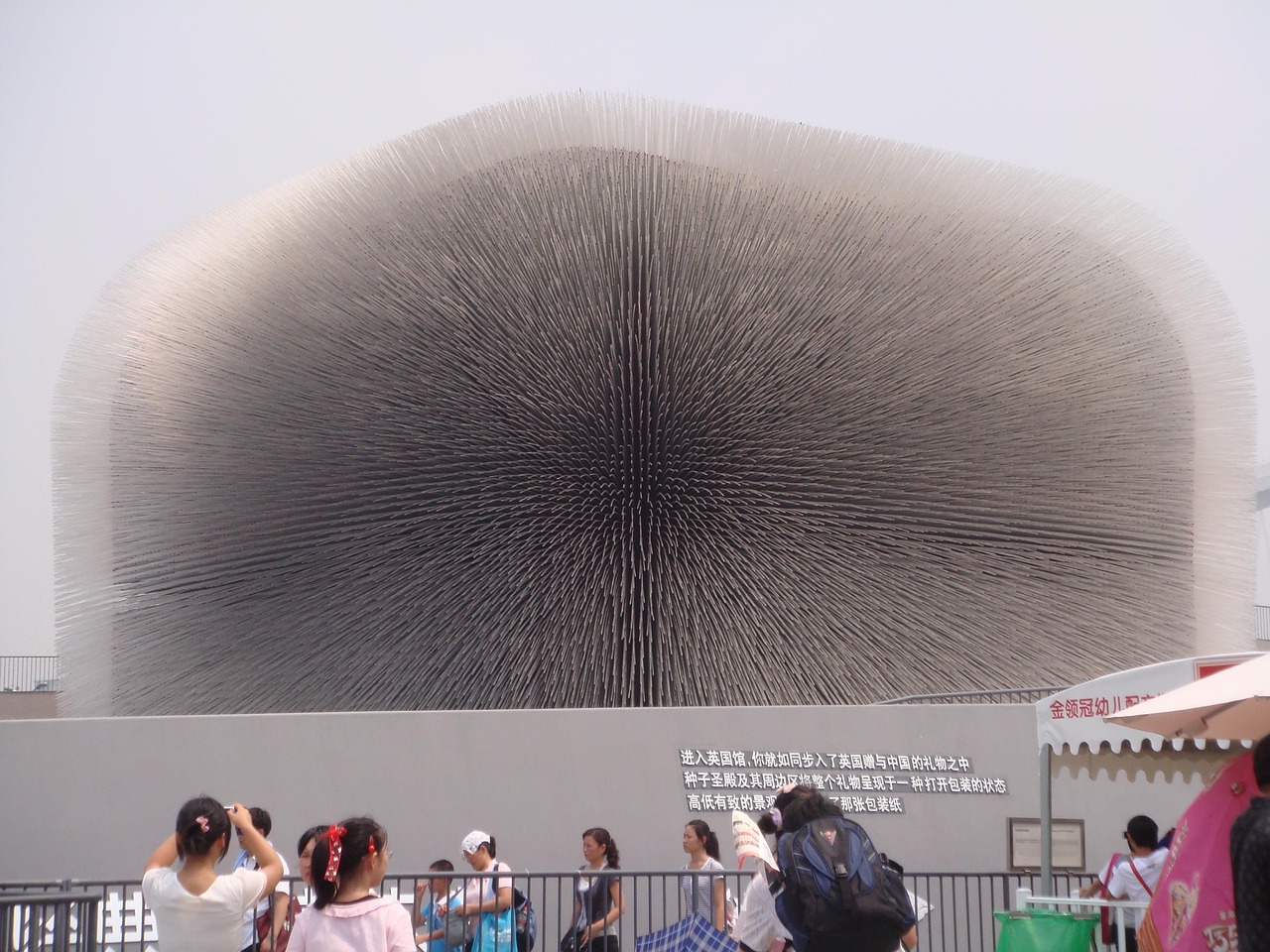 城阳动态，展现活力与发展，引领未来新征程