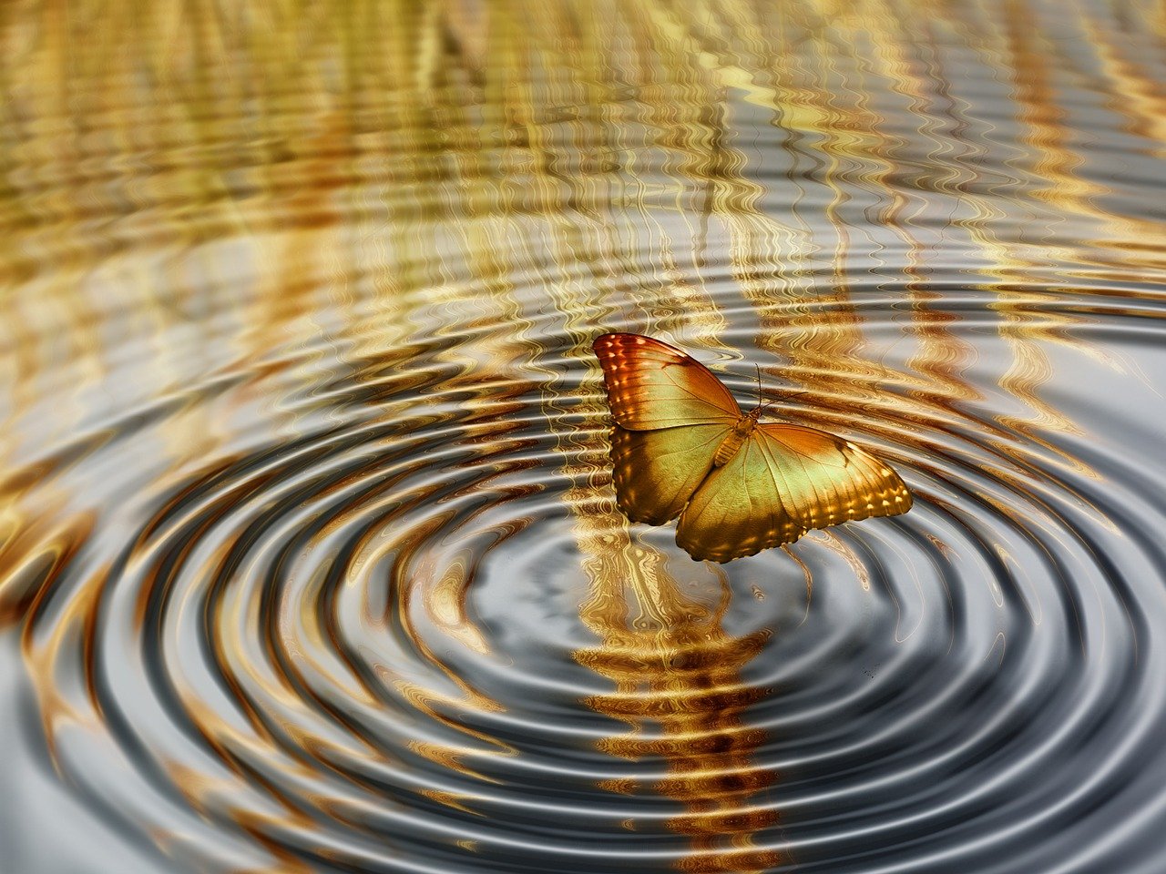 林书豪的最新动态，篮球场上的坚韧斗志与生涯新篇章