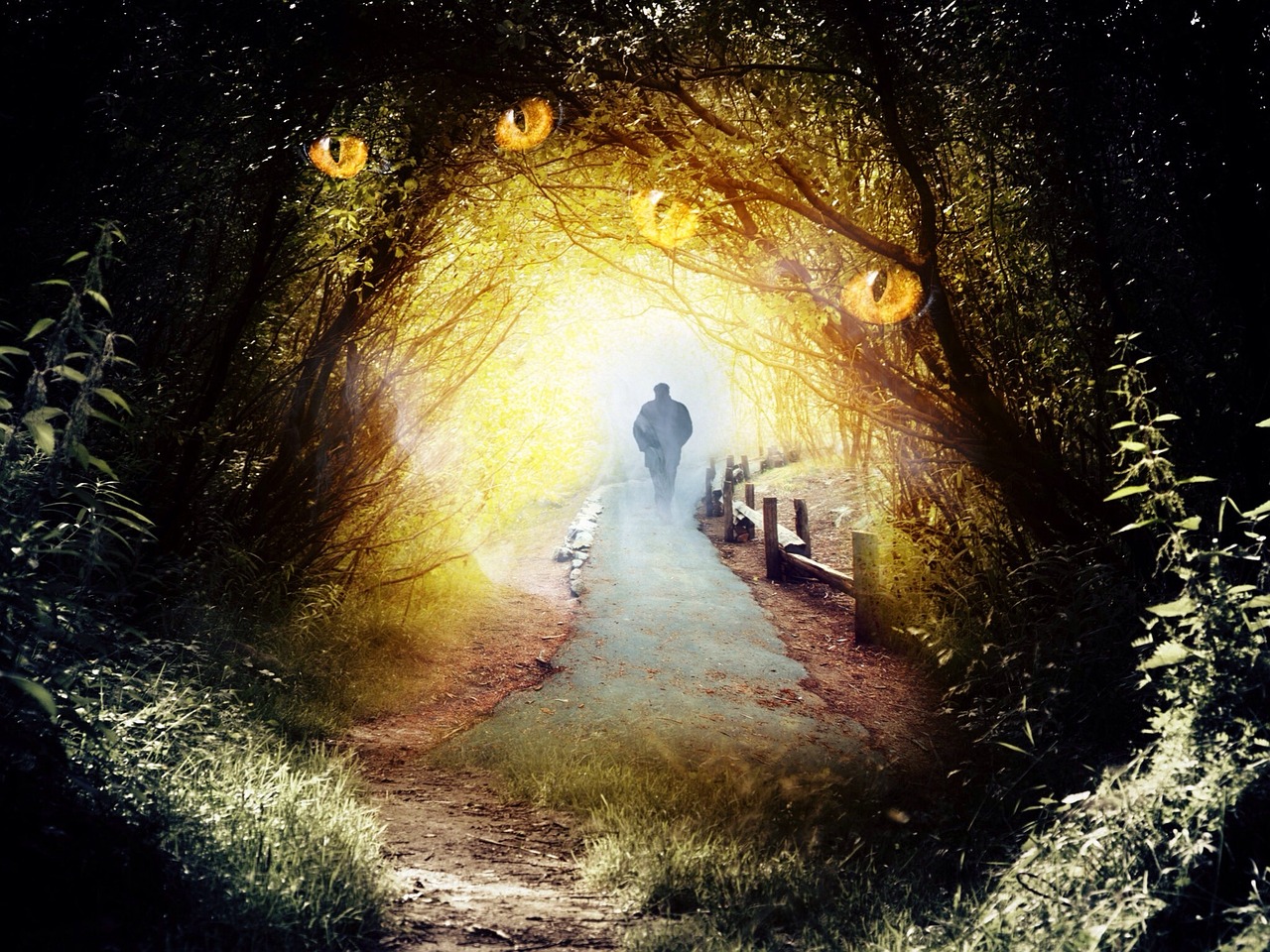 揭秘新纪元，探索最新神秘天赋，挖掘人类潜能的奥秘