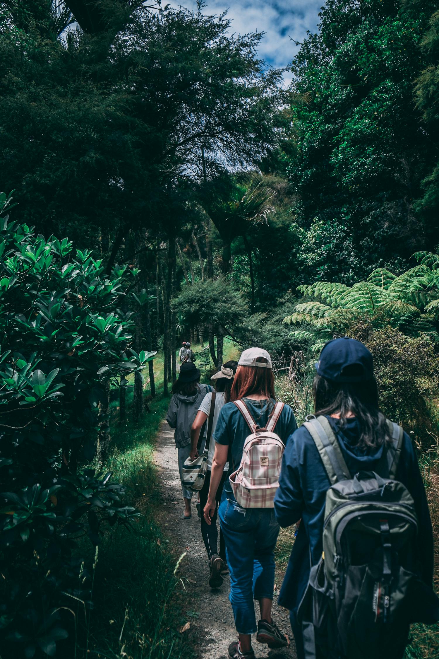 屋顶散步者与电影的视听之旅，一场跨越时空的冒险体验