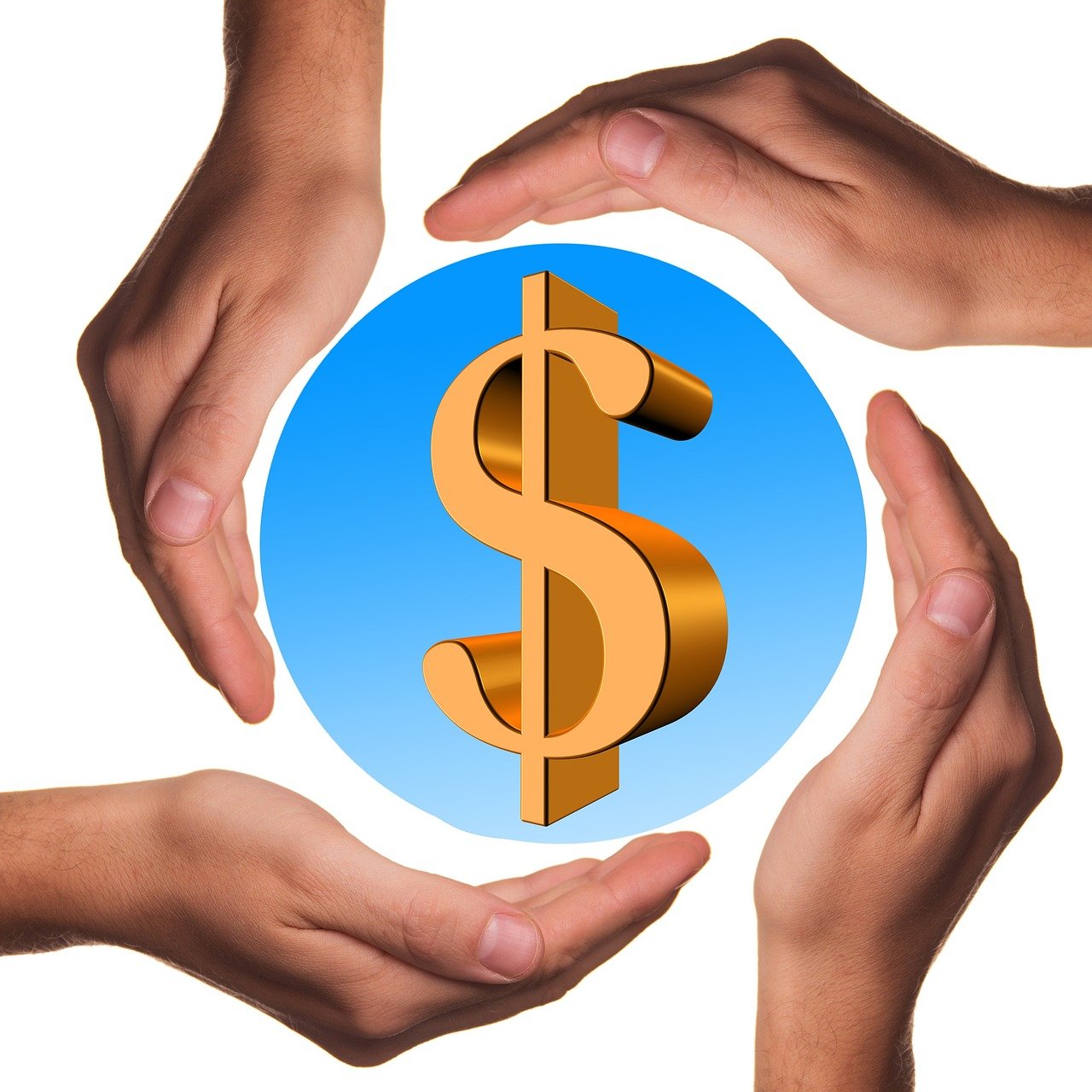 云南香蕉最新价格走势及分析